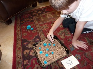 Fine motor station- moving colored puffs with tweezers