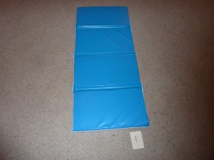 P1010338