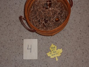 P1010378