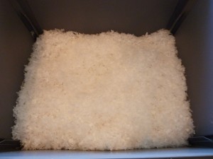 P1020370